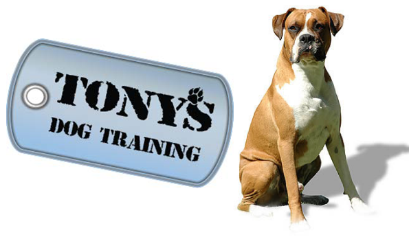 Tonys Dog Training